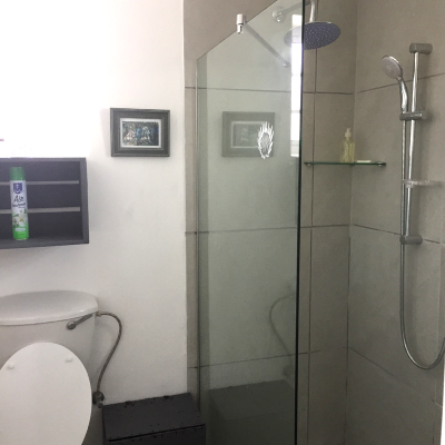 Willow Suite Shower